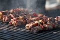 Kebab on wooden skewers on grill. Shashlik or shashlyk Ã¢â¬â meat skewers on grill outside. Shish kebab on a barbecue. Roast meat. Royalty Free Stock Photo